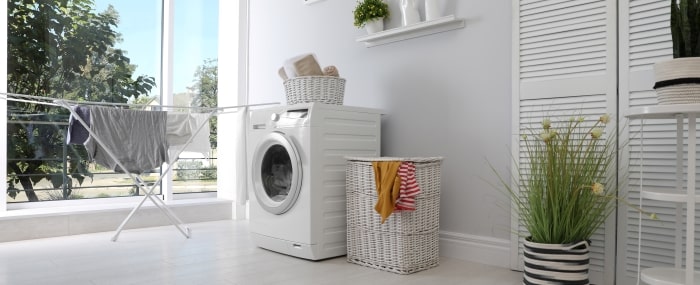 Wash And Fold Indoor Suite Min